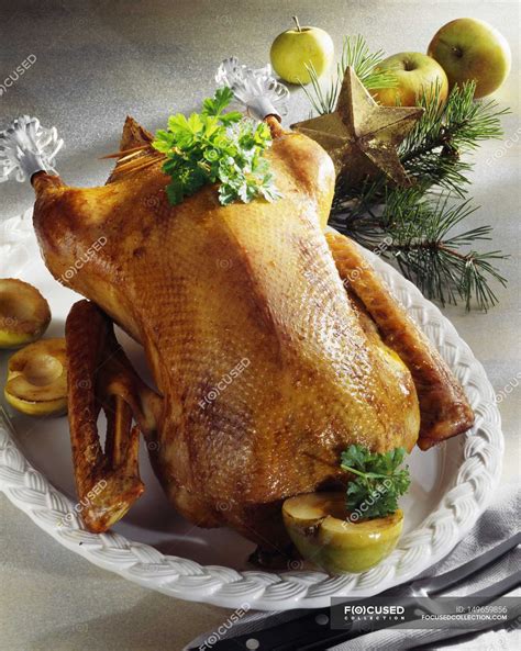 Roast goose with stuffing — goose roast, recipe - Stock Photo | #149659856