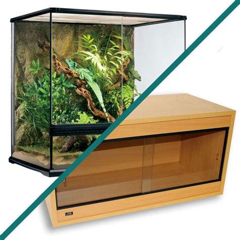 What Size Vivarium Does a Corn Snake Need? | Vivarium World