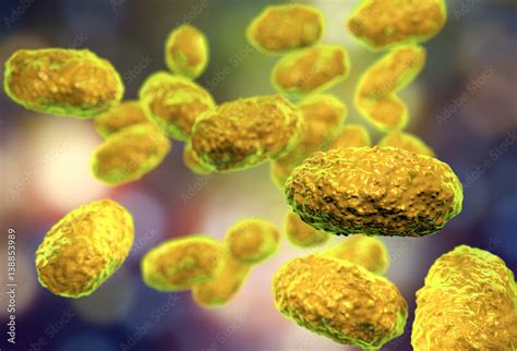 Bacteria Bordetella pertussis, 3D illustration. Gram-negative coccobacilli bacteria which cause ...