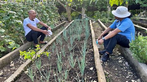 Seasoned / Expert, tuturoan tayo ng mabilis na vermicast production | Seasons, Plants, Garden