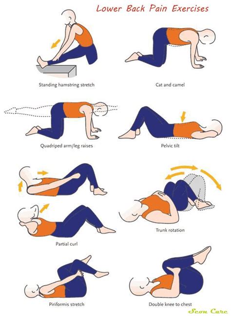 These are the most influential exercises to relieve from back pain ...