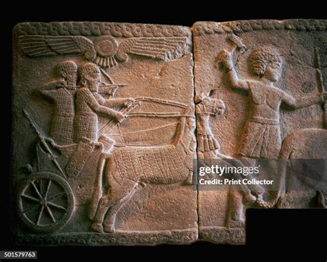 52 Hittite Chariot Stock Photos, High-Res Pictures, and Images - Getty ...