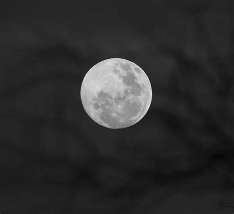 Full moon effect Stock Photos, Royalty Free Full moon effect Images ...