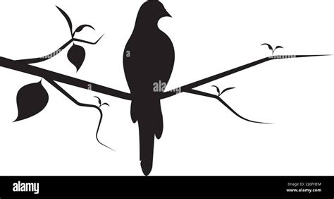 Bird Silhouette On Branch