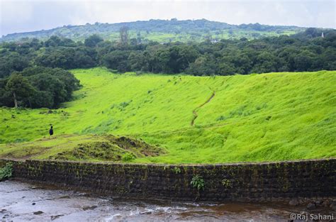 _DSC0268 | Images clicked at Kaas Plateau - Satara. Most of … | Flickr