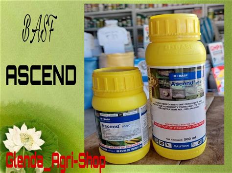 Ascend Insecticide Fipronil 50 SC ( 500 ml ) | Lazada PH