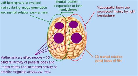 Cognitive modeling - secrets of the brain: Mental rotation task ...