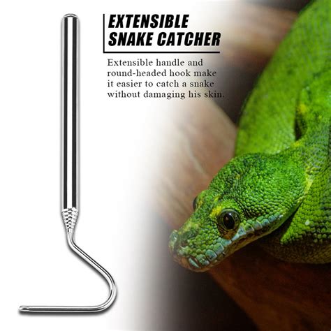 Stainless Steel Extensible Telescoping Snake Reptile Catcher Capture Hook, Snake Capture Hook ...