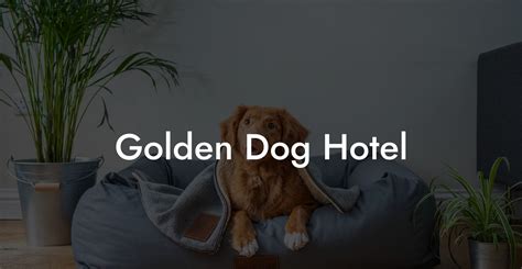 Golden Dog Hotel - Dog Hotels