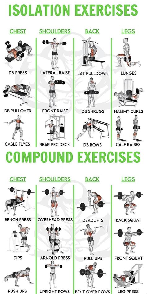 Isolation and Compound Exercises : r/LoveWithFitness