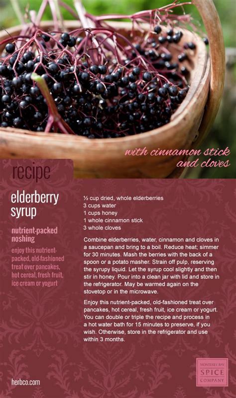 elderberry syrup recipe – The Village of Artisans