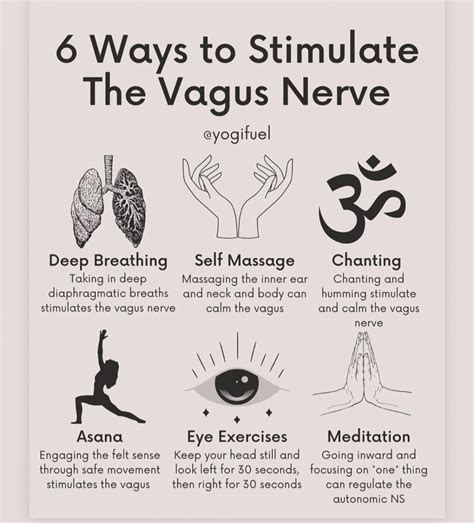 Untitled — 16 Signs Theres A Toxic Congested in 2024 | Vagus nerve, Mental health therapy ...