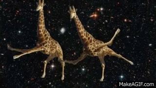 Giraffe Dancing [Sarah & Courtney] - The Animated Life on Make a GIF