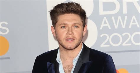 Niall Horan Biography - Facts, Childhood, Family Life & Achievements