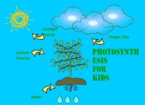 Photosynthesis - BrainPOP - Clip Art Library