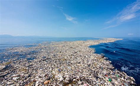 Horrifying images show devastating impact of plastic pollution as idyllic Caribbean waters choke ...