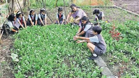 Agriculture made compulsory subject for Classes 6 to 8 - Modern ...