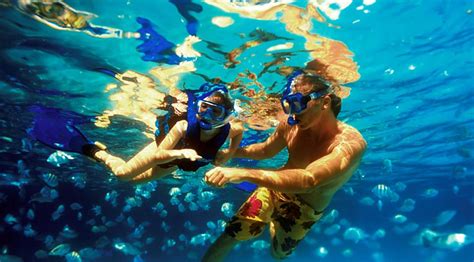 Natural Lagoon Park – Xel Ha – snorkeling and water Park ; Riviera Maya ...