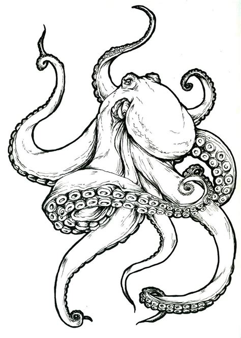 Tattoo design I made for a friend | Octopus tattoo design, Octopus drawing, Octopus tattoos