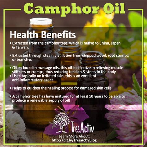 Health Benefits Of Camphor Oil - Skin, Hair, Body | TreeActiv