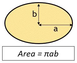 25+ Oval Area Calculator - MeghanHowie