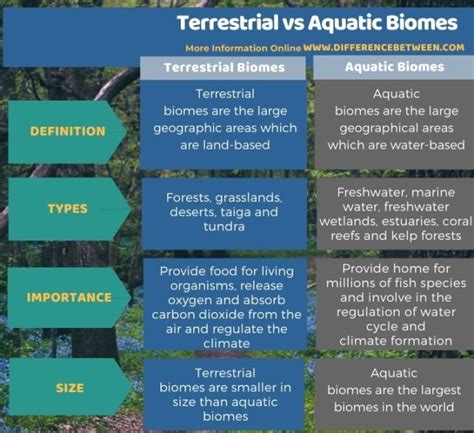 Difference Between Terrestrial and Aquatic Biomes | Compare the ...