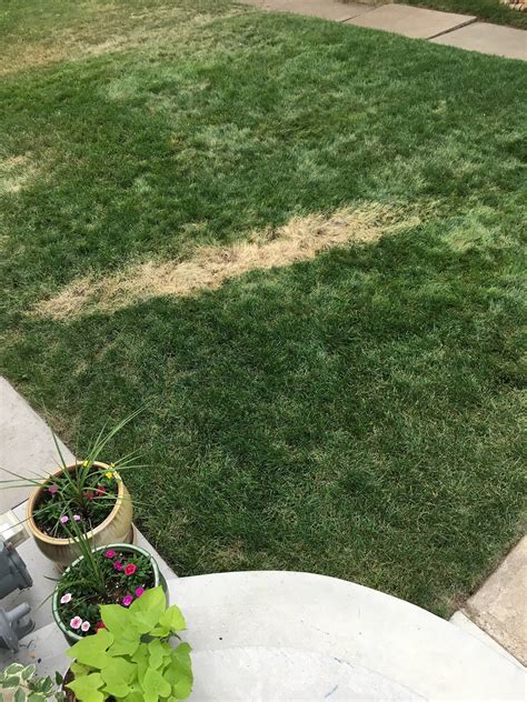 Mysterious brown patch in our lawn - Gardening & Landscaping Stack Exchange