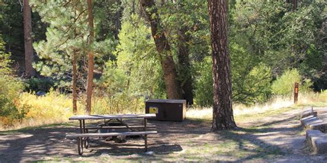 Wawona Campground - Yosemite National Park - camping in California