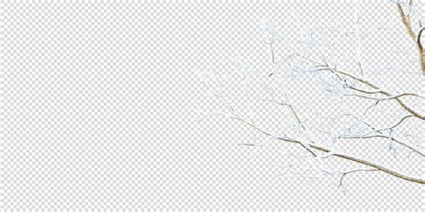 Premium PSD | Snow tree branch isolated on white background