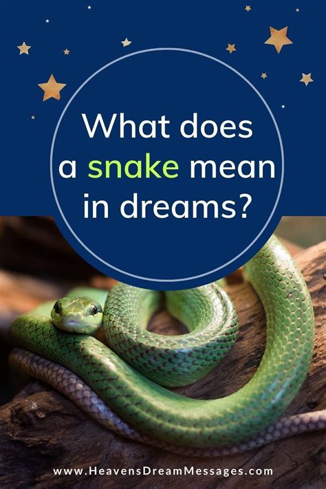 Dream symbols snakes and what they mean – Artofit