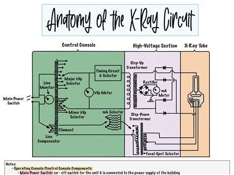 Anatomy of the X-ray Circuit - Etsy Ireland