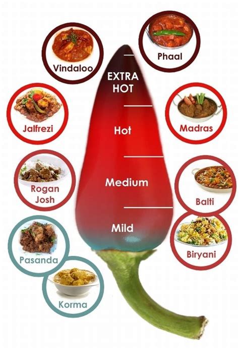 x/post from r/spicy - Spiciness scale of supposed Indian curries - Or, what the hell are people ...