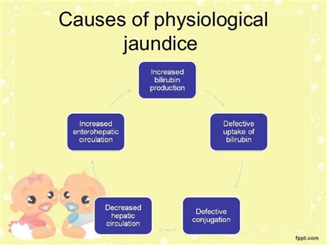 Jaundice Causes And Symptoms Pediatric Nursing Health