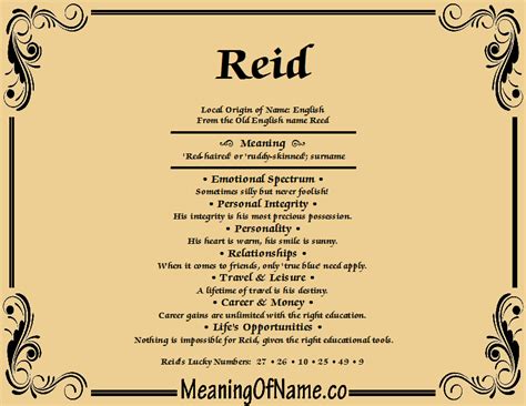 Reid - Meaning of Name