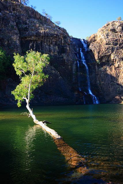 Gunlom Falls in Kakadu National Park, Australia... in 2020 | Kakadu national park, Darwin ...