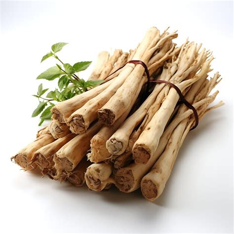 Premium AI Image | Variety of Nature Chinese Angelica Root Type of Herb ...