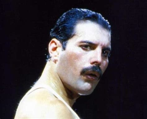 You Know You Love the Mustache - Freddie Mercury’s mustache has more ...