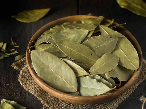 Lá Nguyệt Quế Khô Gói 10g - Dried Bay Leaf - HavaMall - Siêu Thị Hàng ...