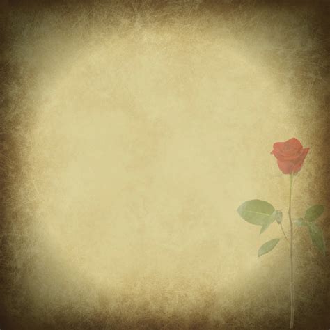 Single Red Rose Vintage Paper Free Stock Photo - Public Domain Pictures
