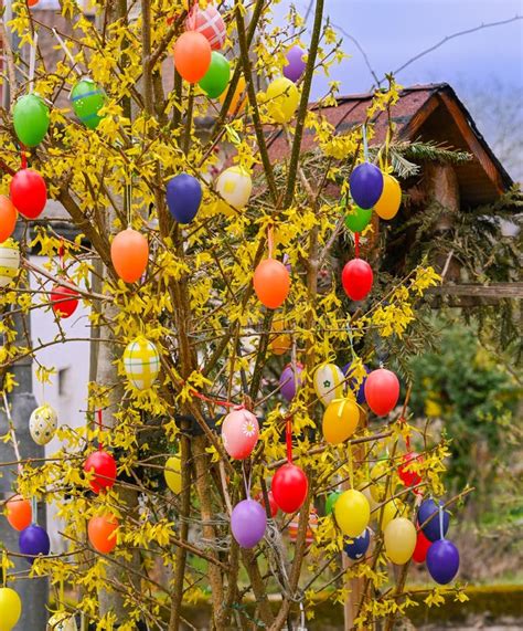 Easter Tree Decorated with Colorful Easter Eggs. Germany, Europe Stock ...