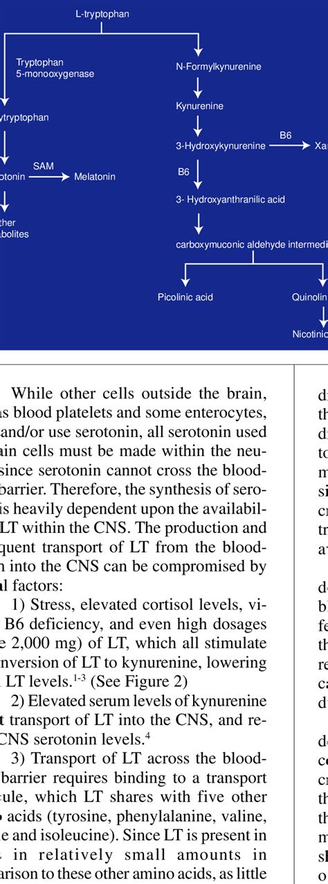 Tryptophan metabolism | Download Scientific Diagram