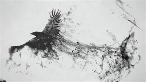 Raven Art Wallpapers - Top Free Raven Art Backgrounds - WallpaperAccess