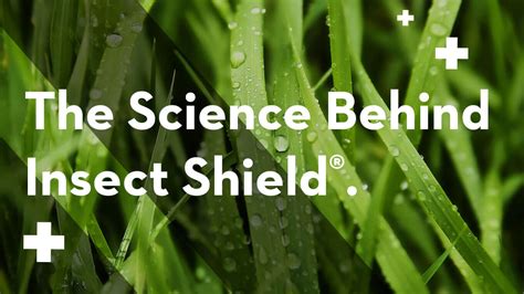 The Science Behind Insect Shield