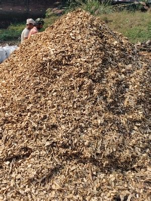 Loose Compressed Mechanical Wood Pulp at Best Price in Rampur | M.h ...