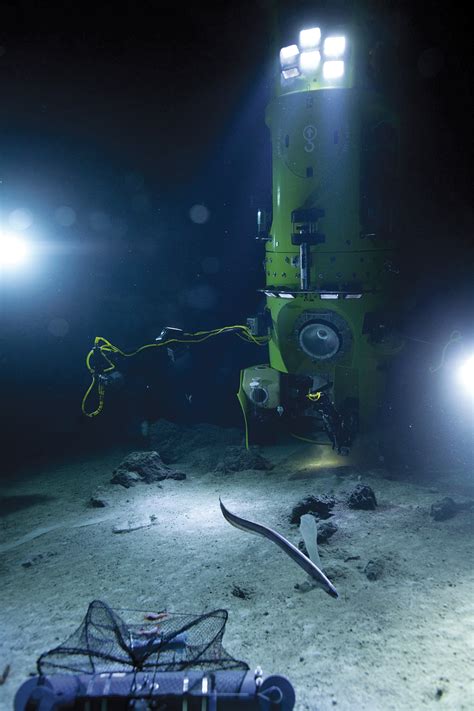 A Dive to Challenger Deep | Science