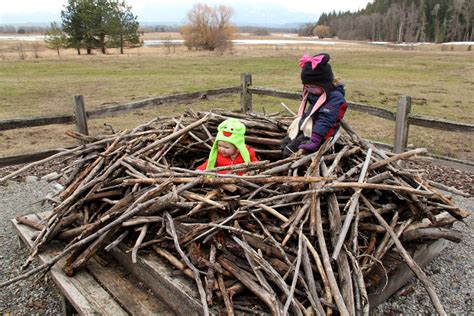 How big are Bald Eagle nests? - Naturally North Idaho