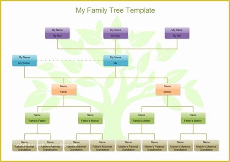 Family Tree Website Templates Free Download Of Logiciel De Dessin Arbre ...