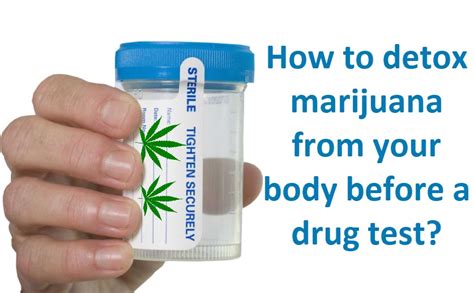 How To Detox Cannabis From Your Body Before a Drug Test