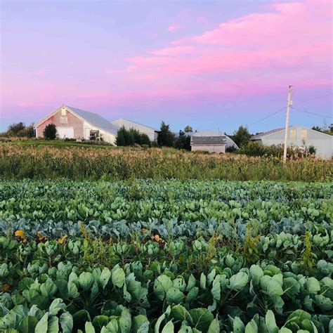 Wolfville Farmers' Market