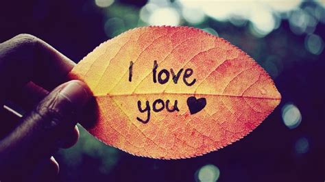 I Love You Wallpapers Images Photos Pictures Backgrounds